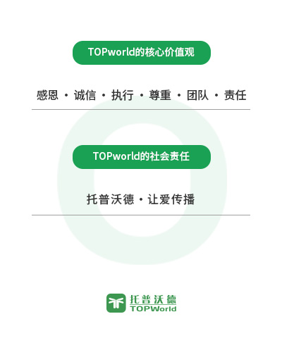 企业文化